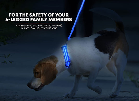 USB Rechargeable LED Dog Collar for Enhanced Visibility During Night - Available in 6 Colors & 6 Sizes